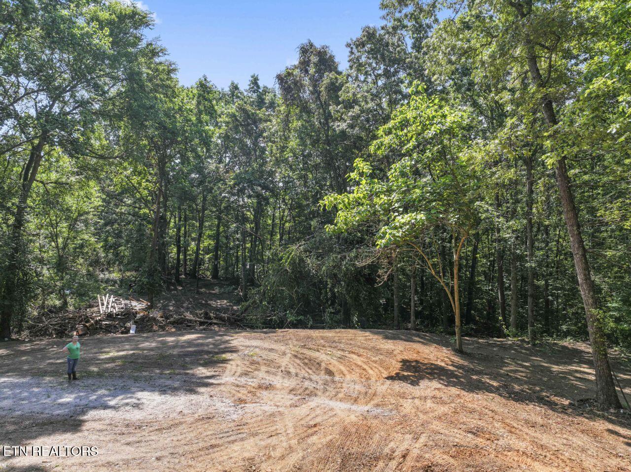 214 Walnut Grove Road Kingston, TN 37763 - Photo 3 of 21 photos_web_resolution_DJI_20250624181510