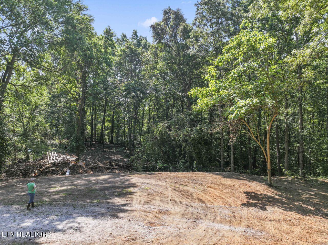 214 Walnut Grove Road Kingston, TN 37763 - Photo 4 of 21 photos_web_resolution_DJI_20250624181459