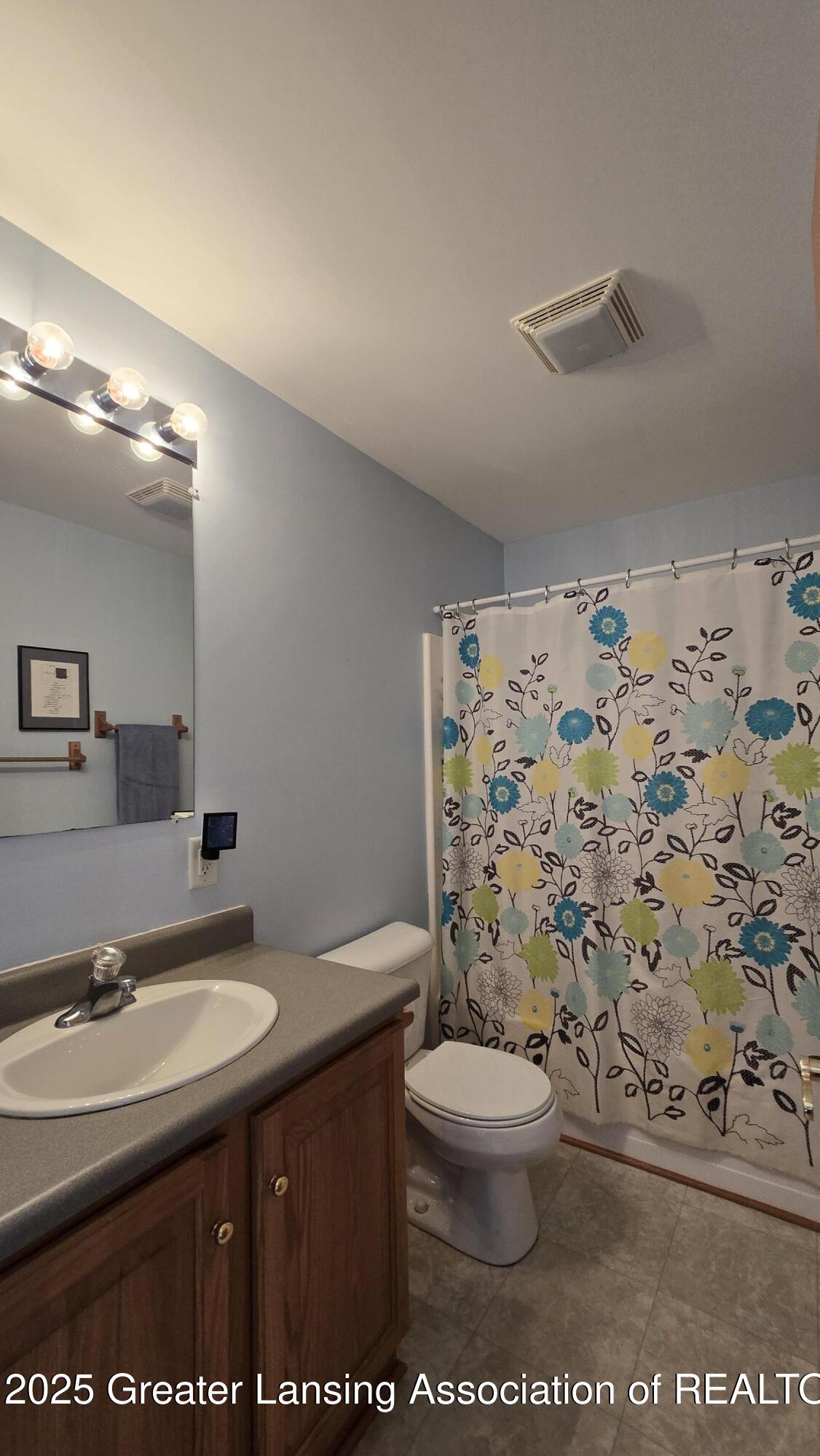 1205 North Chester Road Charlotte, MI 48813 - Photo 25 of 38 Common Bath