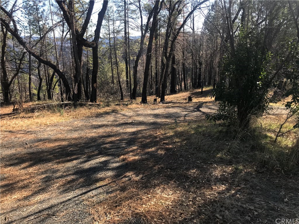 12059 Andy Mountain Road Concow, CA 95965 - Photo 1 of 1