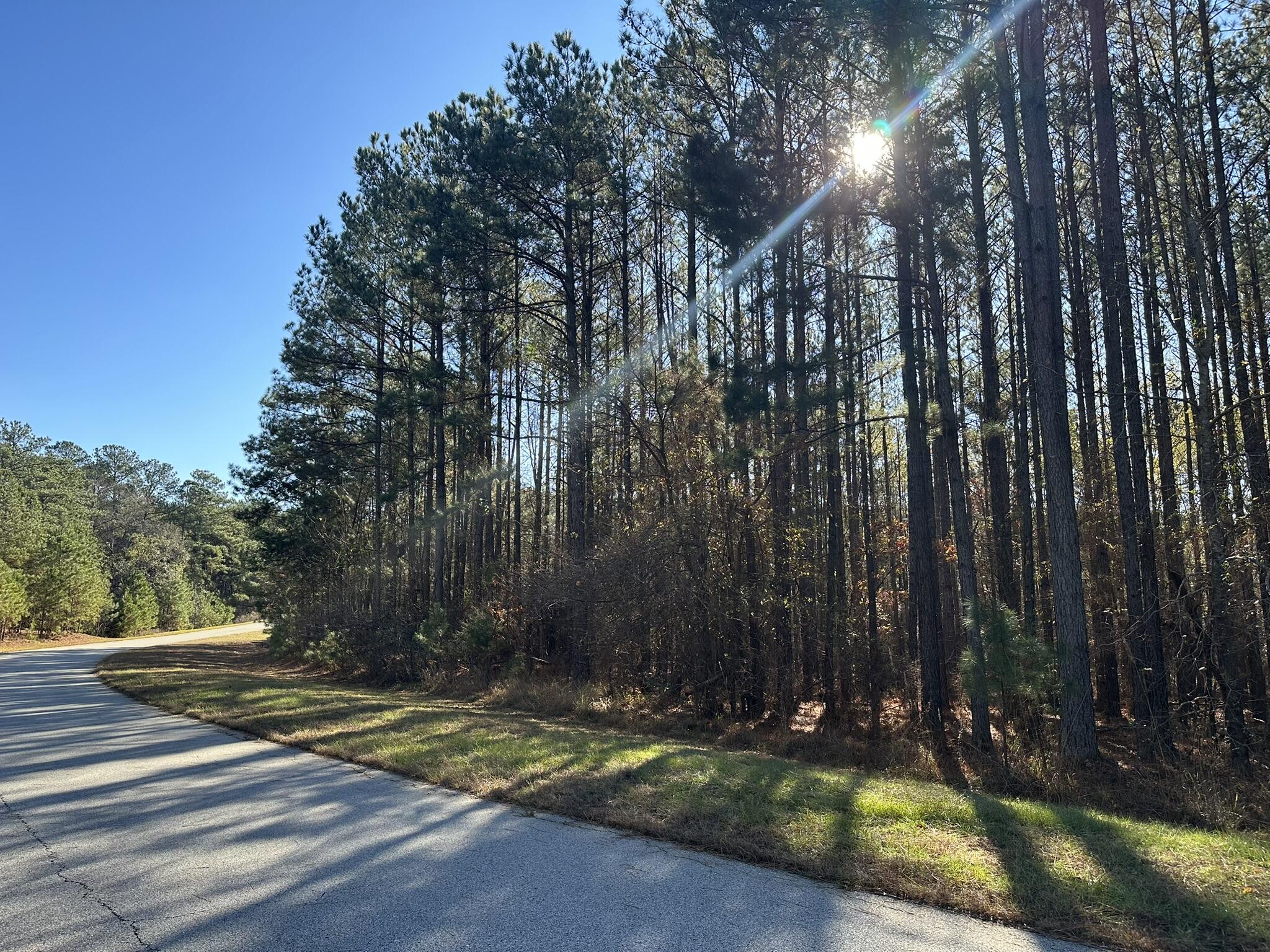 1252 Rogers Road Tignall, GA 30668 - Photo 2 of 29 IMG_1315