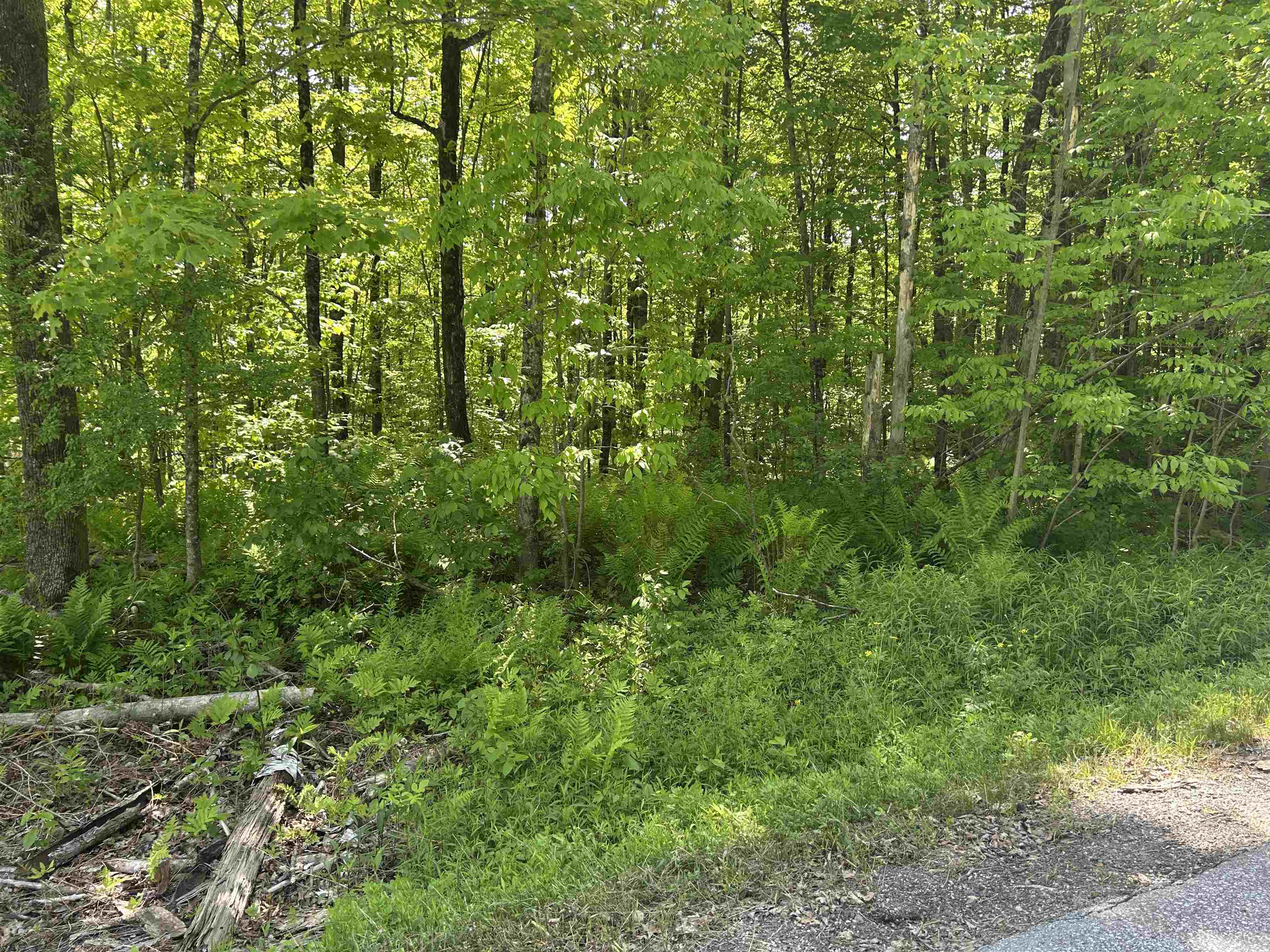 Lot 2 Pion Rd Street St. Albans, VT 05478 - Photo 7 of 15