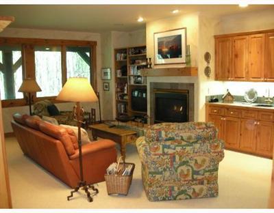 272 Borders Road Avon, CO 81620 - Photo 5 of 8 Additional Photo
