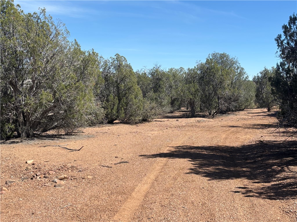 352-38-012 352-38-012 Badger Ridge Road Kingman, AZ 86401 - Photo 12 of 31