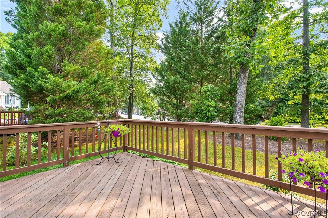 10311 Raintree Commons Court Henrico, VA 23238 - Photo 31 of 34 Gallery Image 31