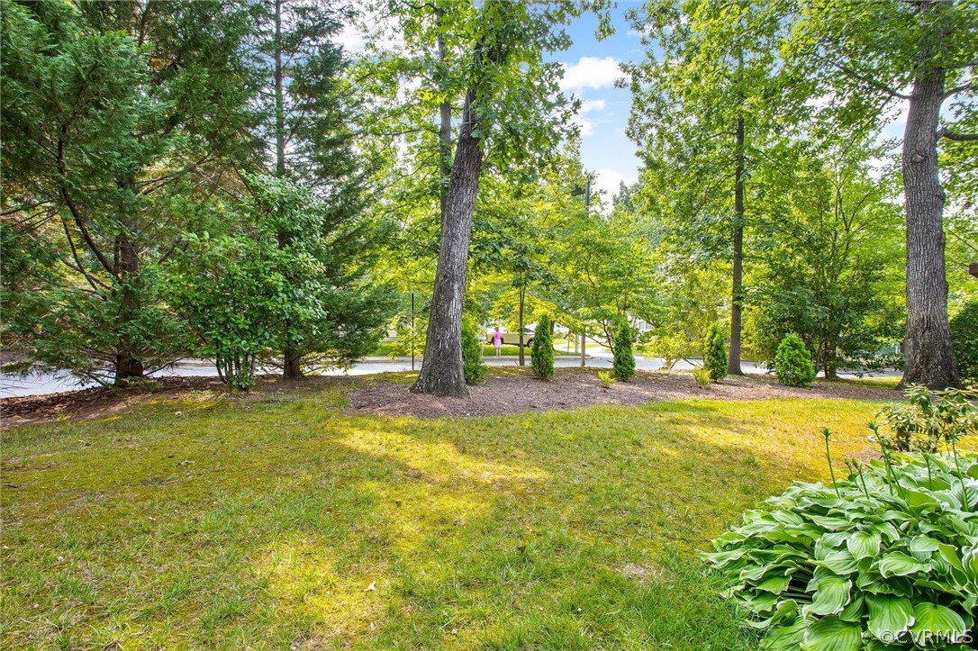 10311 Raintree Commons Court Henrico, VA 23238 - Photo 33 of 34 Gallery Image 33