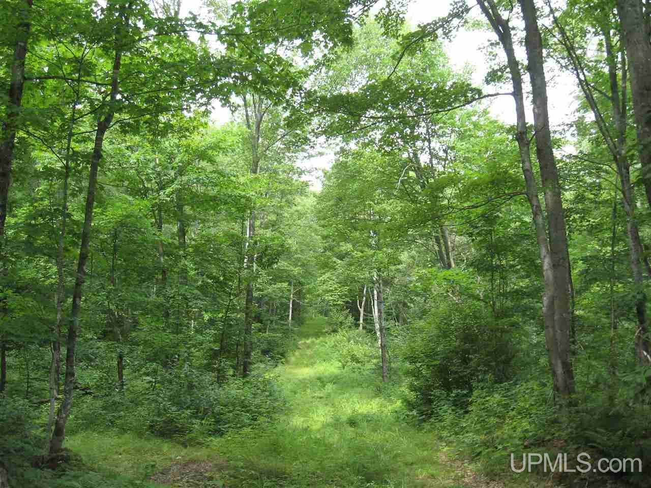 0 Rhody Cr, Unit CARTER LAKE RDP Seney, MI 49883 - Photo 10 of 36