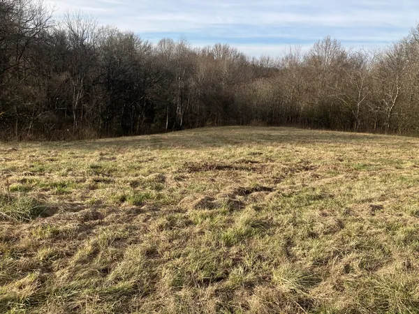 $50,000 | 3 Diana Ridge Road, Pulaski, TN 38478