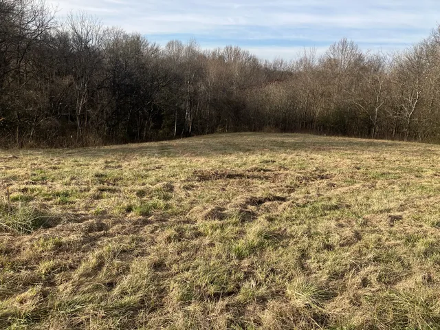 $50,000 | 3 Diana Ridge Road, Pulaski, TN 38478