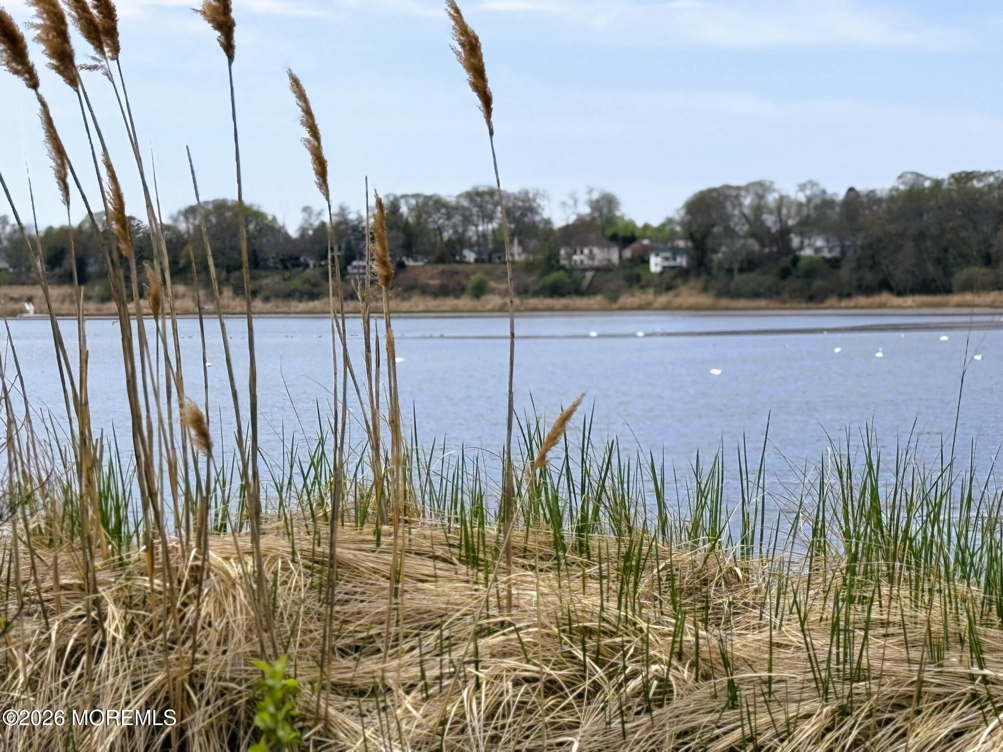 100 Sheldon Avenue Neptune Township, NJ 07753 - Photo 69 of 75 IMG_7440