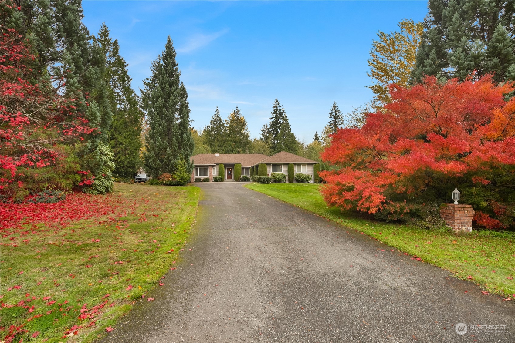 a view of a garden with houses