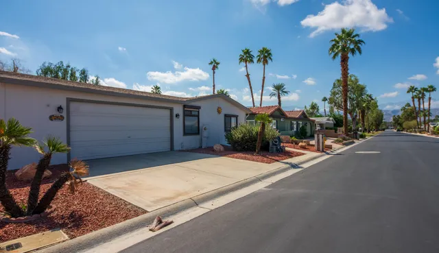 a row of palm trees in front of a house