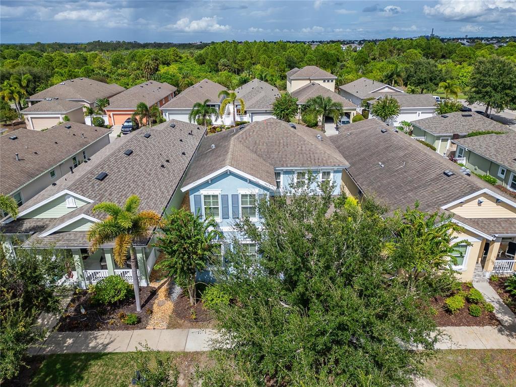623 Winterside Drive Apollo Beach, FL 33572 - Photo 62 of 87