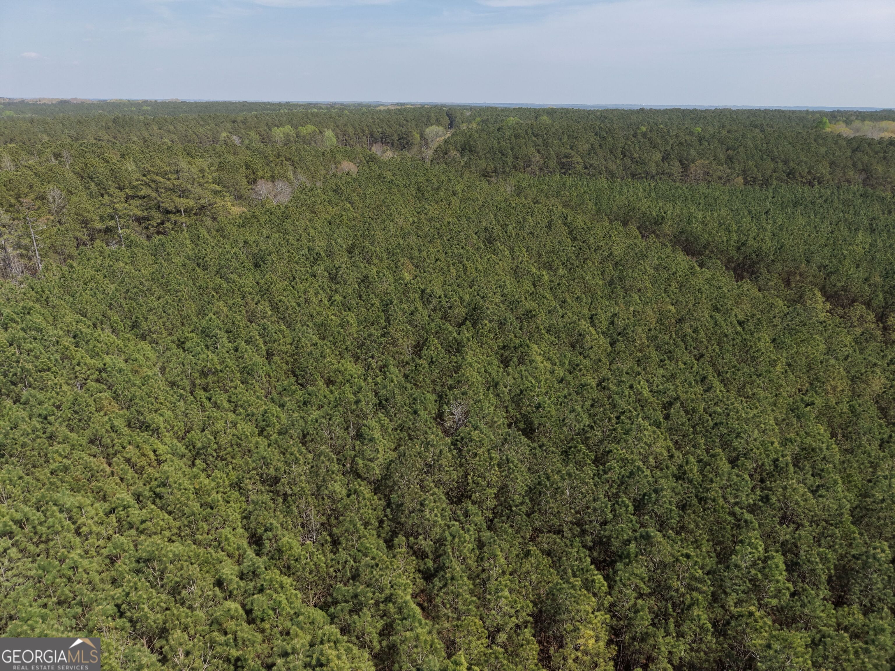 15 Hollis Norman Road Tignall, GA 30668 - Photo 15 of 23