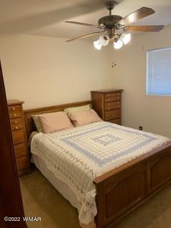 3389 Turkey Run Overgaard, AZ 85933 - Photo 12 of 19