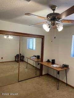 3389 Turkey Run Overgaard, AZ 85933 - Photo 13 of 19