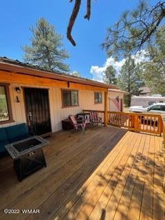 3389 Turkey Run Overgaard, AZ 85933 - Photo 15 of 19