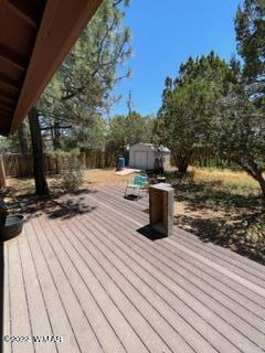 3389 Turkey Run Overgaard, AZ 85933 - Photo 17 of 19
