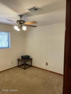 3389 Turkey Run Overgaard, AZ 85933 - Photo 6 of 19