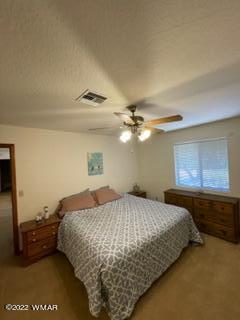 3389 Turkey Run Overgaard, AZ 85933 - Photo 7 of 19