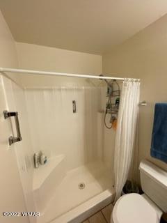 3389 Turkey Run Overgaard, AZ 85933 - Photo 10 of 19