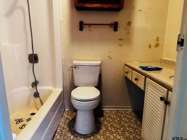a bathroom with a sink and a toilet