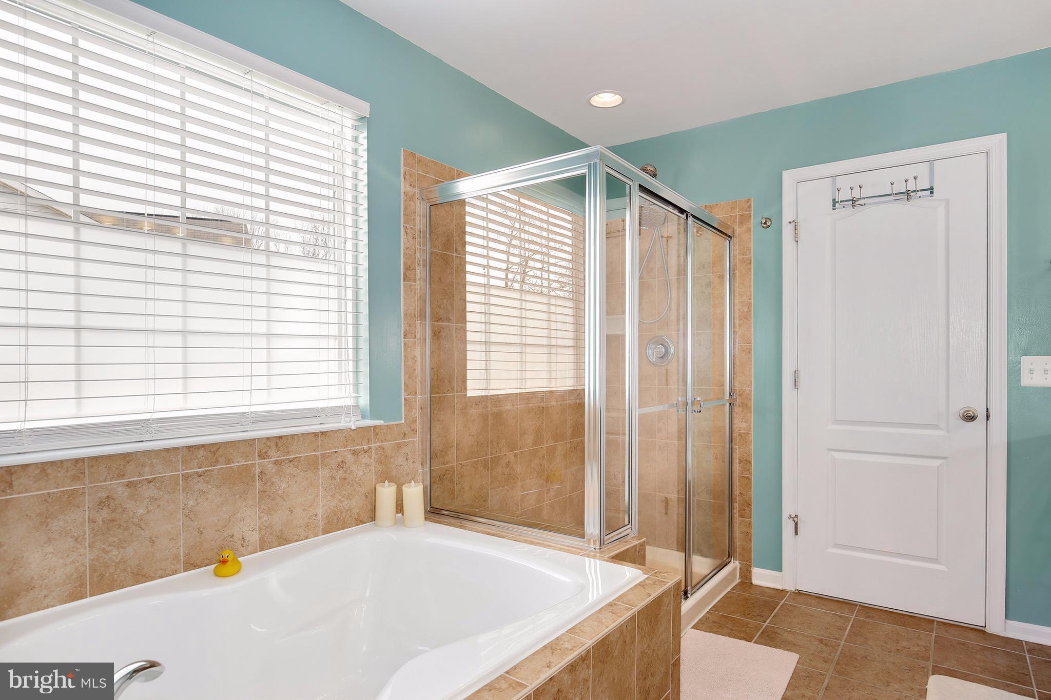 802 Salvatore Road Baltimore, MD 21220 - Photo 21 of 28 Bath (Master)