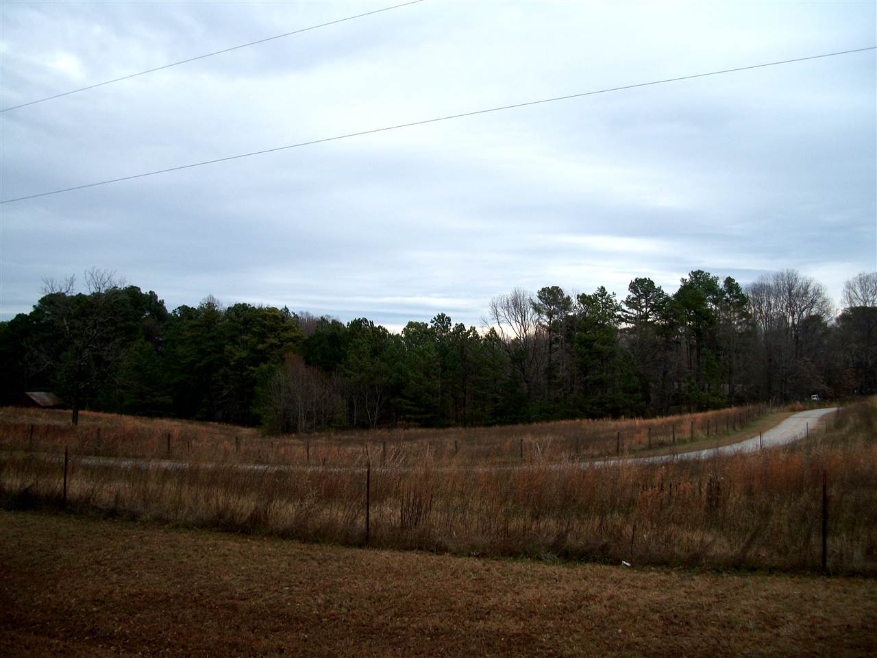 Gallery Image 7