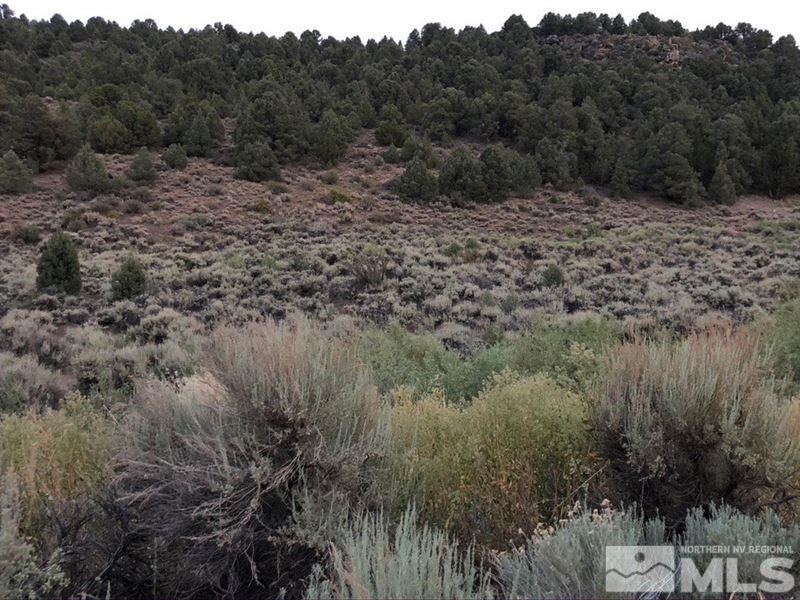 Apn 00422127 Reno, NV 89521 - Photo 1 of 3 a view of a forest with a tree