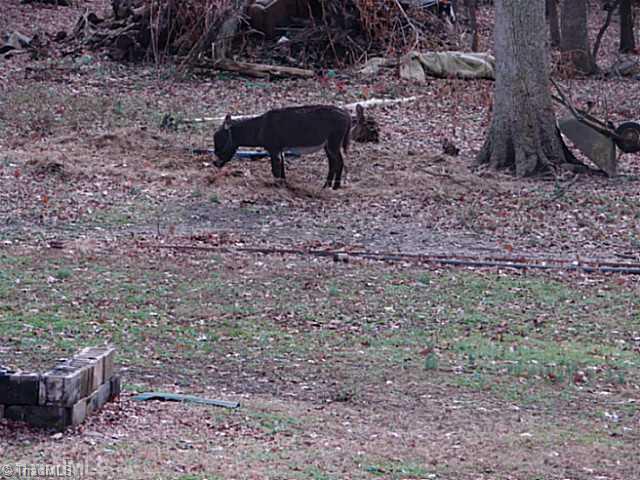 661 Pine Ridge Road Mocksville, NC 27028 - Photo 3 of 11 Yard/Garden.