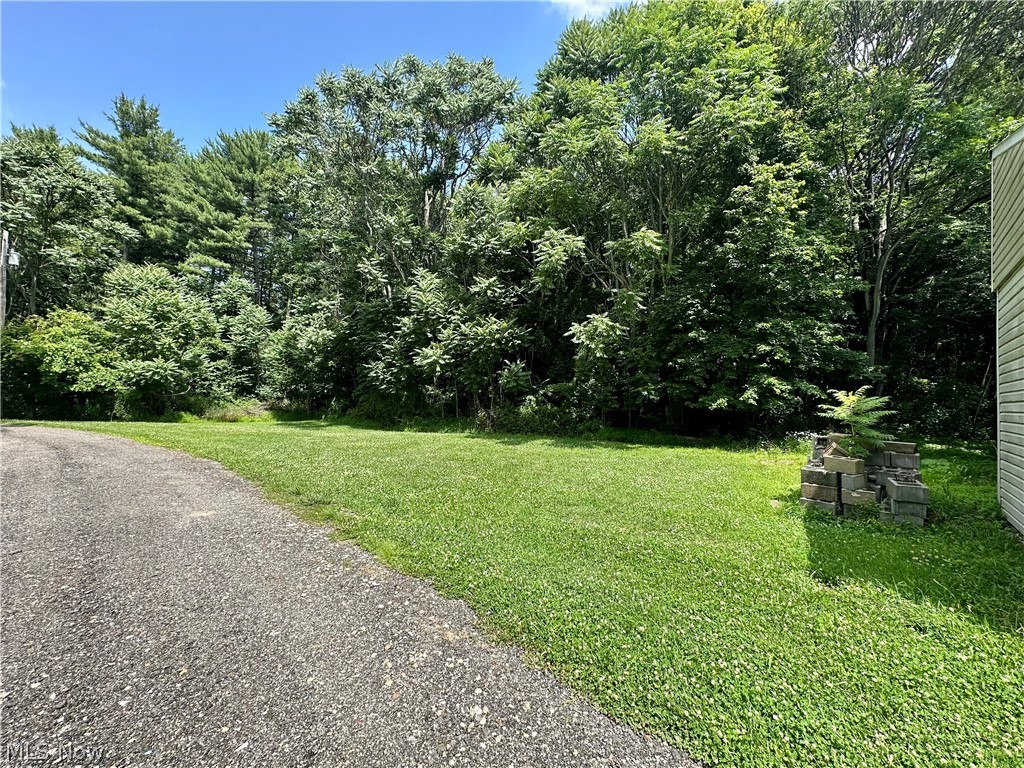 28 Richter Road Colliers, WV 26035 - Photo 29 of 38 Yard