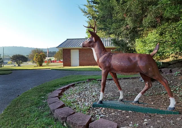 a view of yard with tree s