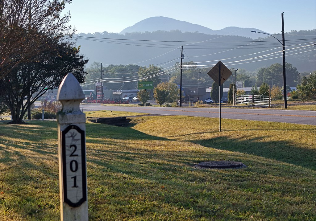 201 Coffey Road Chatsworth, GA 30705 - Photo 2 of 46 a front view of house with yard