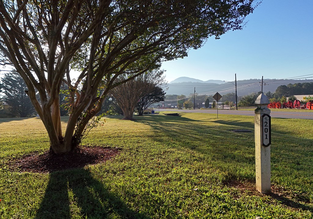 201 Coffey Road Chatsworth, GA 30705 - Photo 3 of 46 a view of a large yard with large trees