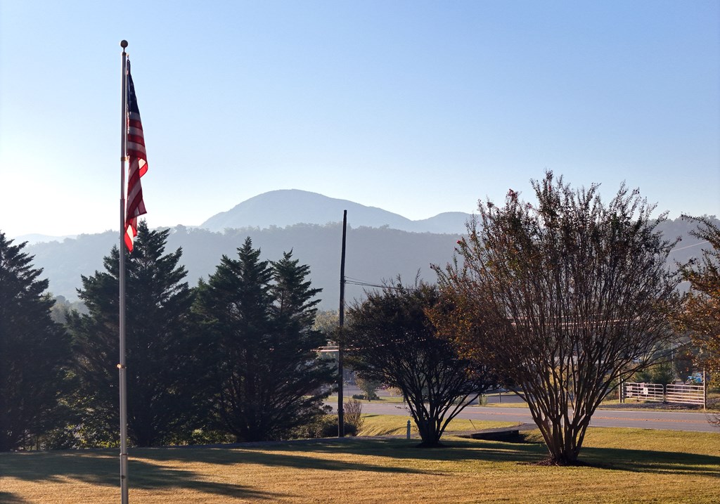 201 Coffey Road Chatsworth, GA 30705 - Photo 4 of 46 a view of a palm tree next to a road