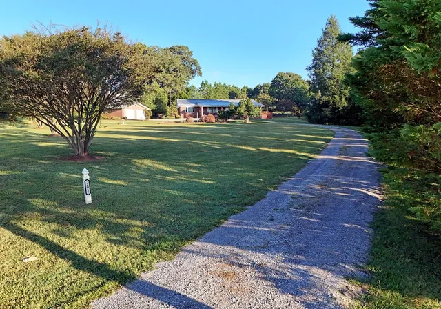 a view of a park with large trees