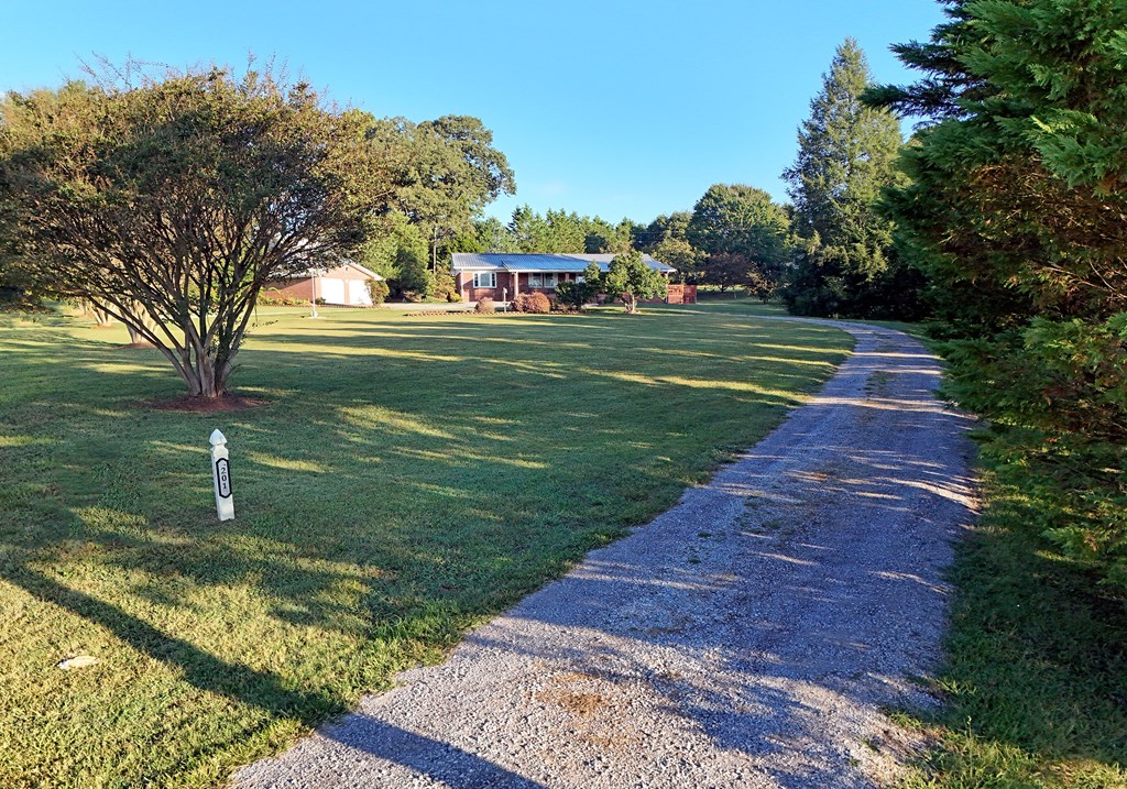 201 Coffey Road Chatsworth, GA 30705 - Photo 5 of 46 a view of a park with large trees