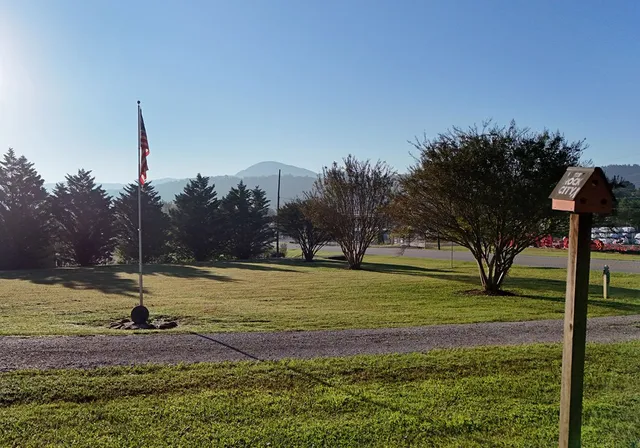 a view of a yard with palm trees