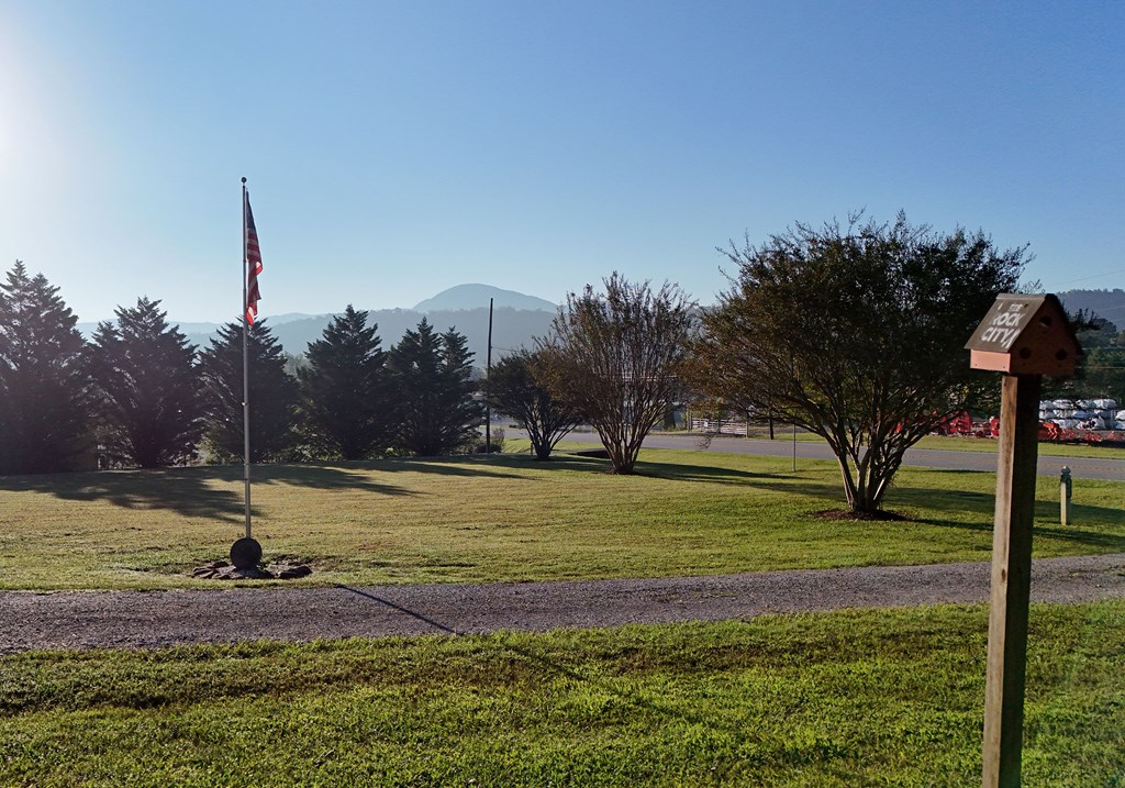 201 Coffey Road Chatsworth, GA 30705 - Photo 9 of 46 a view of a yard with palm trees