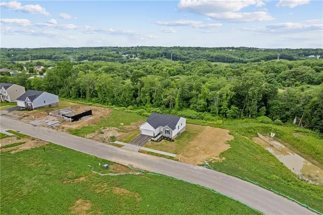 a view of a garden with a lake