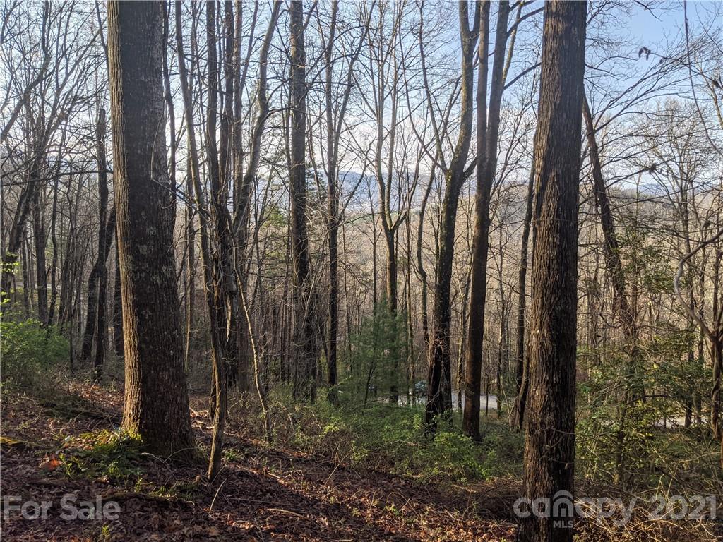 16 Laurel Haven Road, Unit 16 Fairview, NC 28730 - Photo 1 of 15 Gallery Image 1