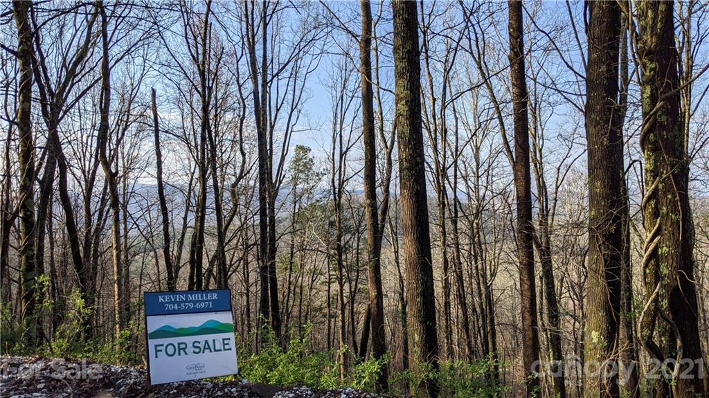 16 Laurel Haven Road, Unit 16 Fairview, NC 28730 - Photo 2 of 15 Gallery Image 2
