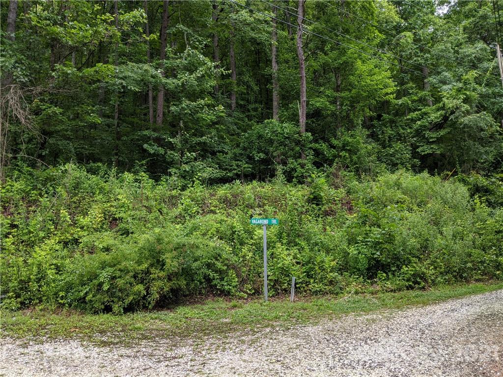 16 Laurel Haven Road, Unit 16 Fairview, NC 28730 - Photo 11 of 15 Gallery Image 11