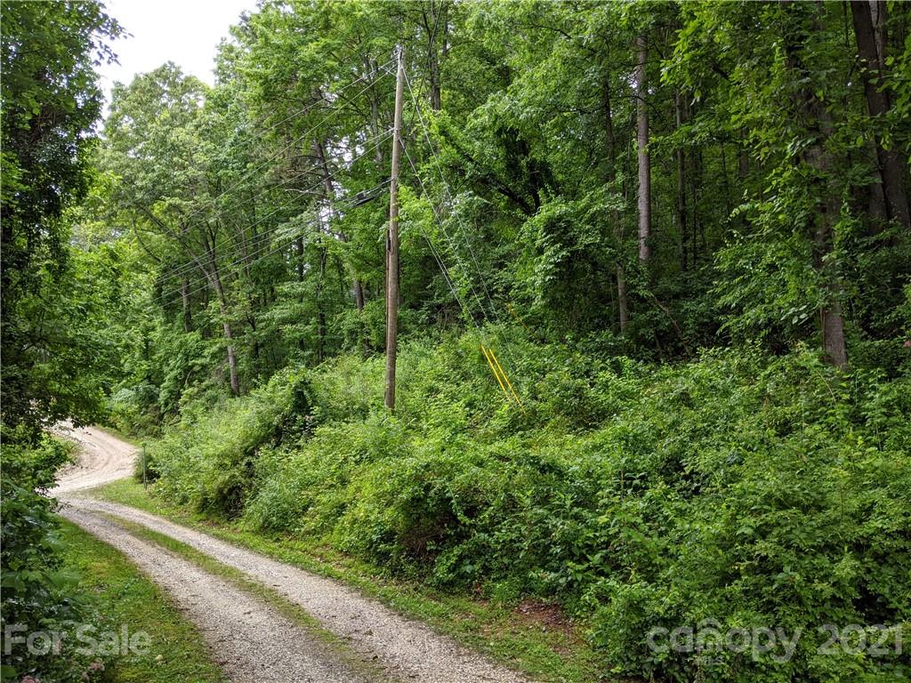 16 Laurel Haven Road, Unit 16 Fairview, NC 28730 - Photo 13 of 15 Gallery Image 13