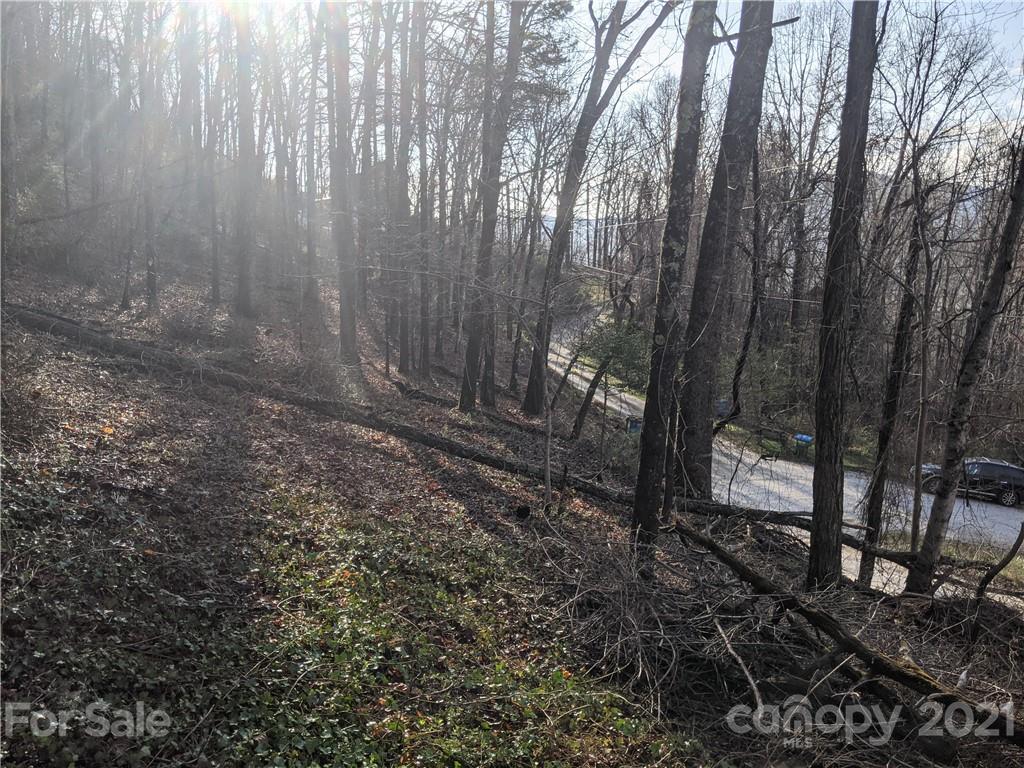 16 Laurel Haven Road, Unit 16 Fairview, NC 28730 - Photo 3 of 15 Gallery Image 3