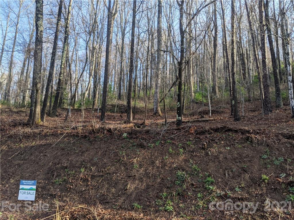 16 Laurel Haven Road, Unit 16 Fairview, NC 28730 - Photo 6 of 15 Gallery Image 6