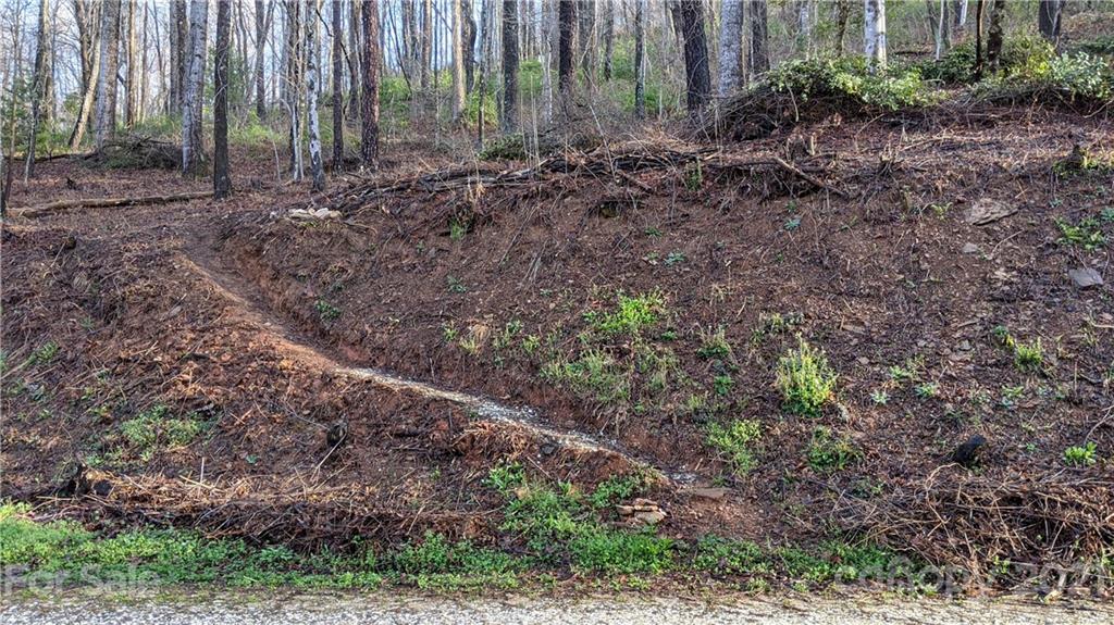 16 Laurel Haven Road, Unit 16 Fairview, NC 28730 - Photo 7 of 15 Gallery Image 7