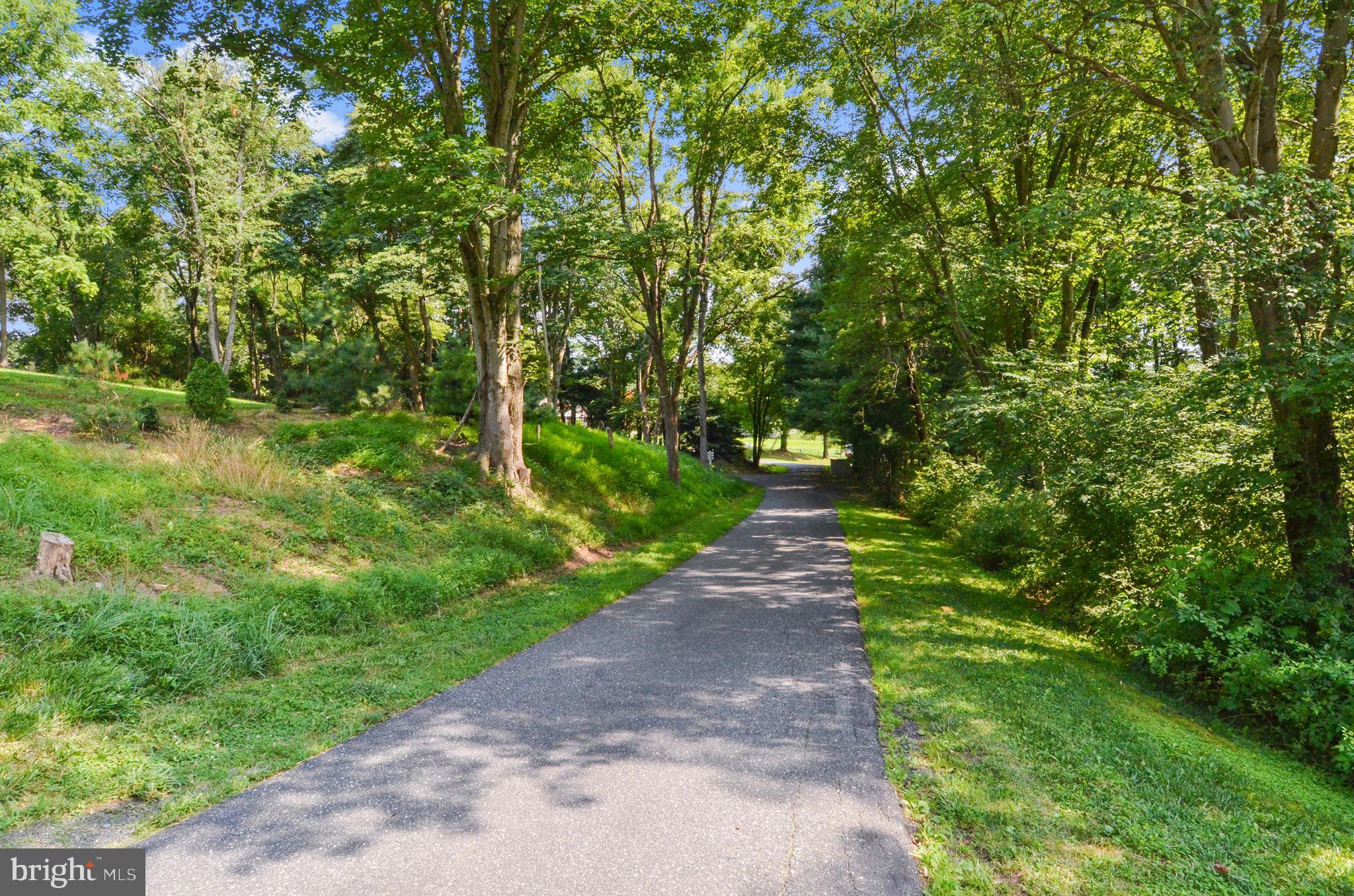 Tree lined driveway leads you home