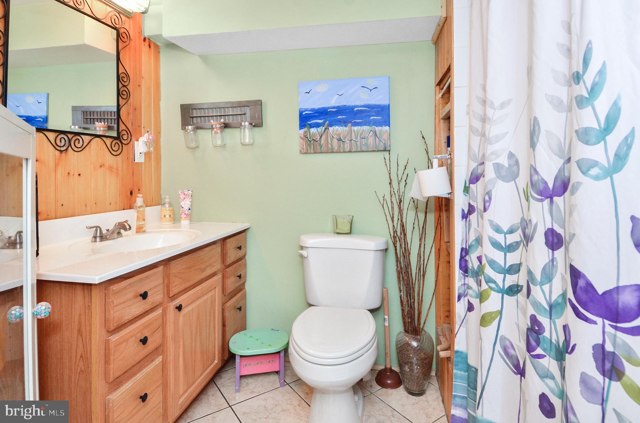929 Federal Hill Road Street, MD 21154 - Photo 20 of 26 Full bath in finished basement