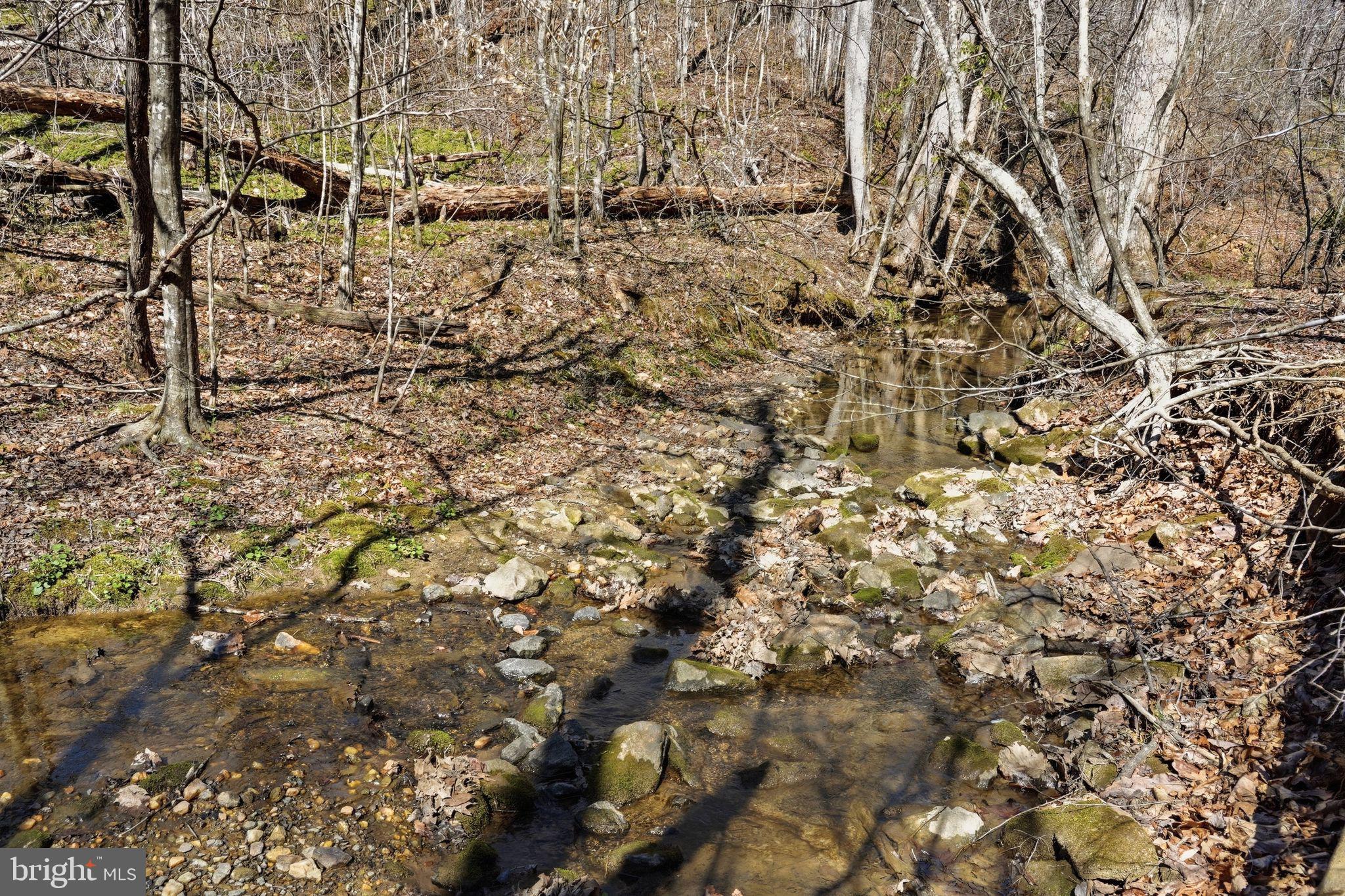 7 B Old Stillhouse Road Boston, VA 22713 - Photo 17 of 17